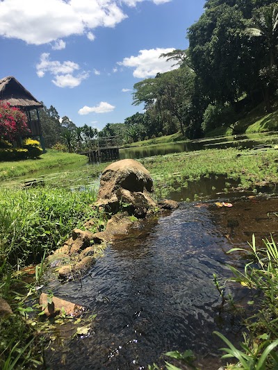 Photos of Kapsimotwa Gardens