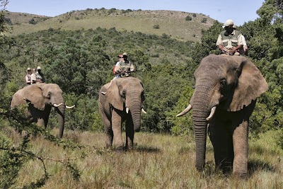 Photos of Addo Elephant Lodge and Safaris