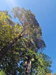 Photo n°30 de Le Jardin Hors du temps à Val-d'Aigoual (Cour d'un pub)