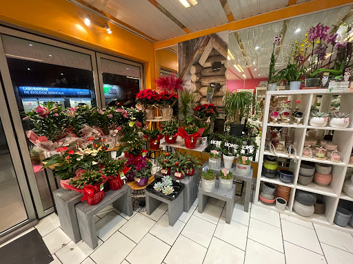 L'effet fleurs - Thumbnail