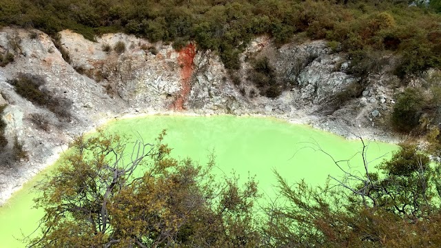 Lady Knox Geyser