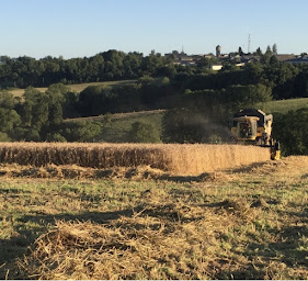 Photo n°9 de SARL Choizit à Ambialet (Service de transport)