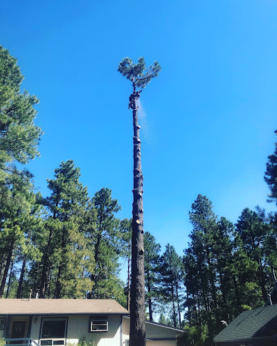 Flagstaff Tree Care LLC