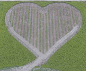 Photo n°1 de Ferme T'air de famille à Loriol-sur-Drôme (Ferme bio)