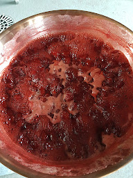 Photo n°40 de Les Jardins de Martine à Saint-Sulpice-la-Pointe (Animateur de soirées et d'événements)