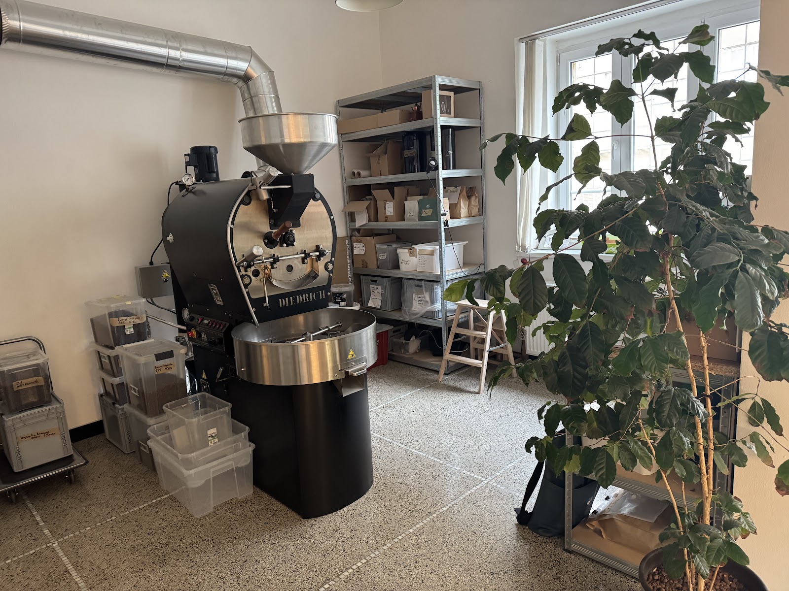 BirdSong Coffee — photo 5