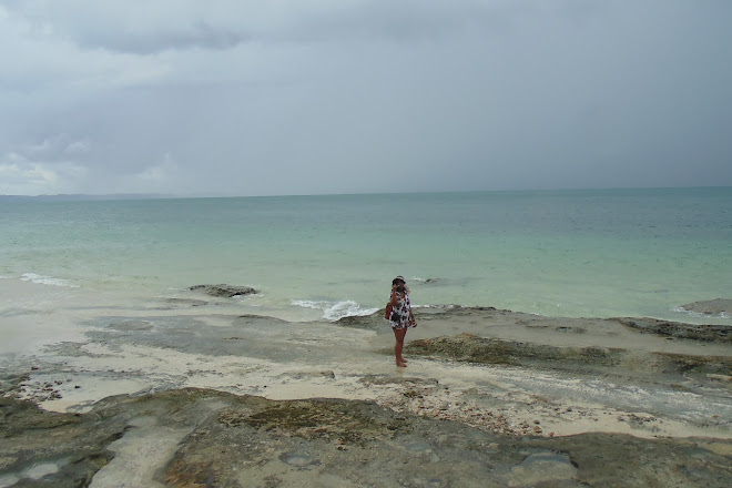 Visit Ilha Dos Frades On Your Trip To Salvador Or Brazil Inspirock