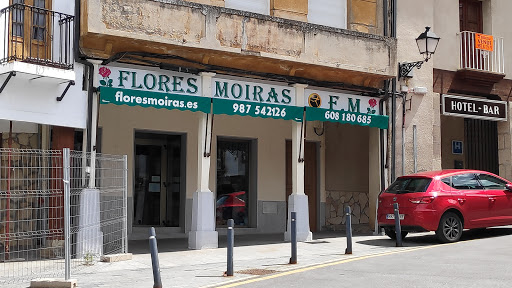 Flores Moiras - Thumbnail