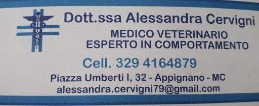 Ambulatorio Veterinario Dott.ssa Alessandra Cervigni - Thumbnail