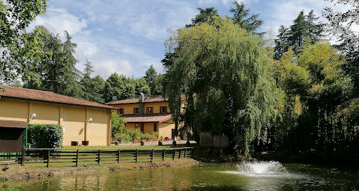 Ca' Vecchia - Visual