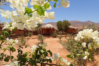 Photos of Bedouin Star Camp Ras Shitan Nuweiba Egypt