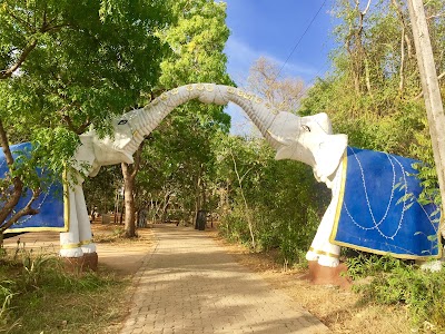 Photos of Araliya maluwa thapowanaya