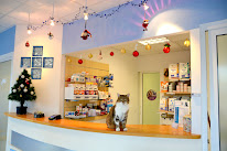 Cabinet Vétérinaire Médico-Chirurgical de La Moutonne à La Crau