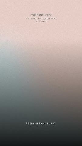 Meghauli Serai, A Taj Safari - Chitwan National Park by null