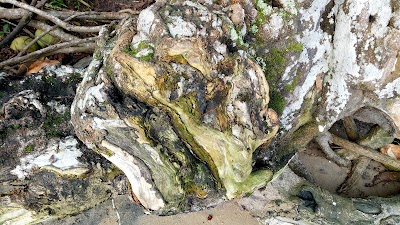 Photos of Teluk Sukadana