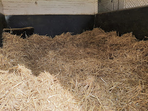 Photo n°3 de PALFRENIERE GRAZIELLA à Sainte-Gauburge-Sainte-Colombe (Centre équestre)