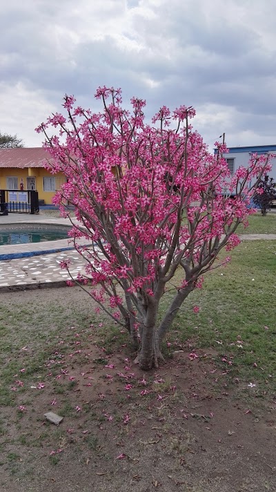 Photos of Minas de Benga Campsite