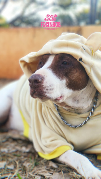 SOS Focinhos Consultório & Estética Animal