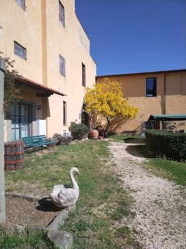 Govinda Centro Vegetariano e Vegano Firenze - Thumbnail