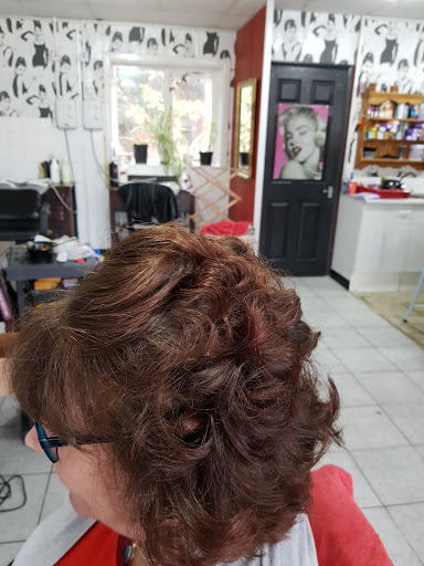 Timeless Hair Salon - Thumbnail