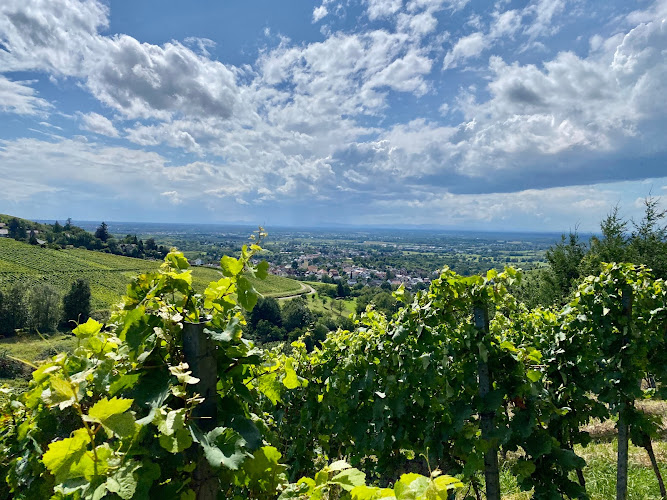 Weingut Doppelgarage Varnhalt