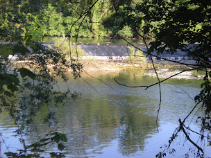 Photo n°43 de Camping de l'île à Ranchot (Restaurant)