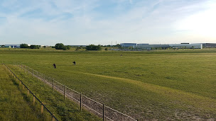 Photo n°1 de CHARTRES EQUITATION SPORT COMPANY à Chartres (Club d'équitation)