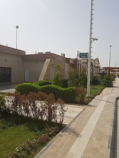 Photos of City of Imam Hassan Mujtaba visitors