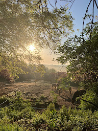 Photo n°9 de Poney Club La Souca à Grabels (Centre équestre)