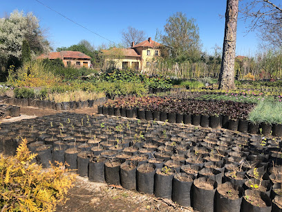 Разсадник Караисен Генади Николов