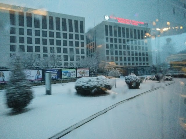 Anemon Eskişehir