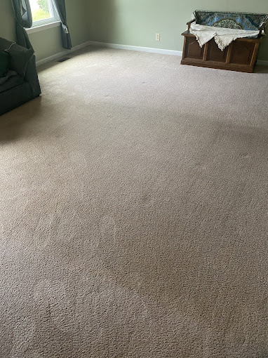 Steem Master Carpet Cleaner