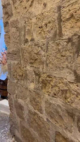 Al Mulo Cojone by null