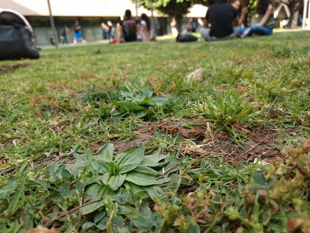 Cineteca Nacional de Mexico