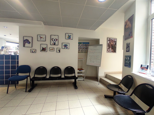 Clinique Vétérinaire du Barœul - Lille
