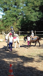 Photo n°29 de Erimûr'Anes à Mûrs-Erigné (Centre équestre)