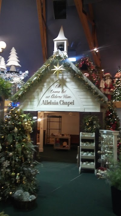 Photos of Tis the Season