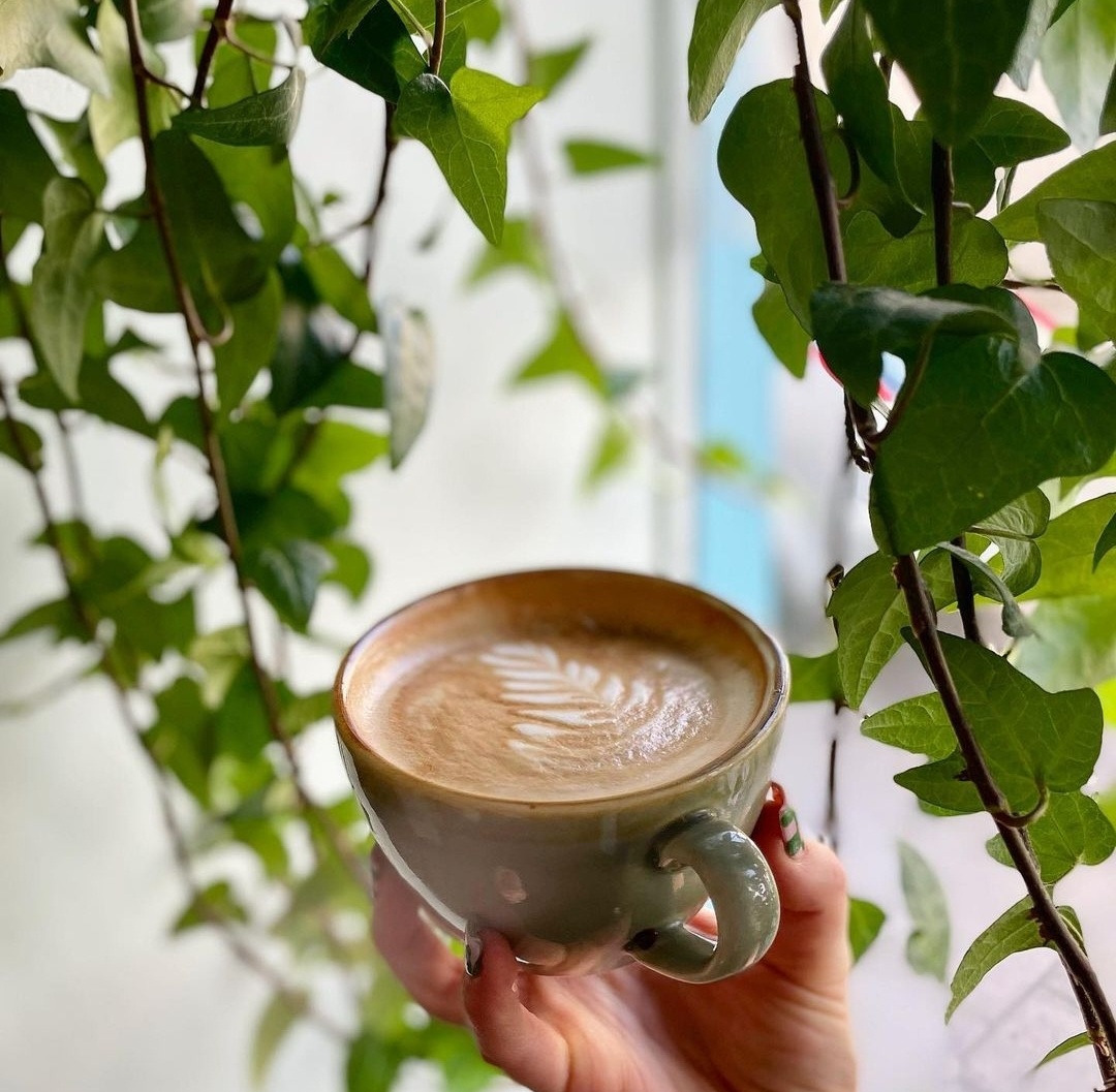 Rogue Fox Coffee House — photo 2
