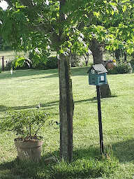 Photo n°8 de Gîte Nature et Traditions à Montcombroux-les-Mines (Gîte)