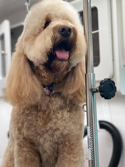 Uptown Clippers Pet Mobile Grooming L.L.C.