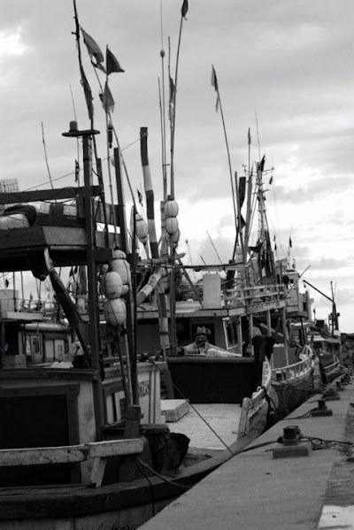 Photos of Kirinda Fishing Port
