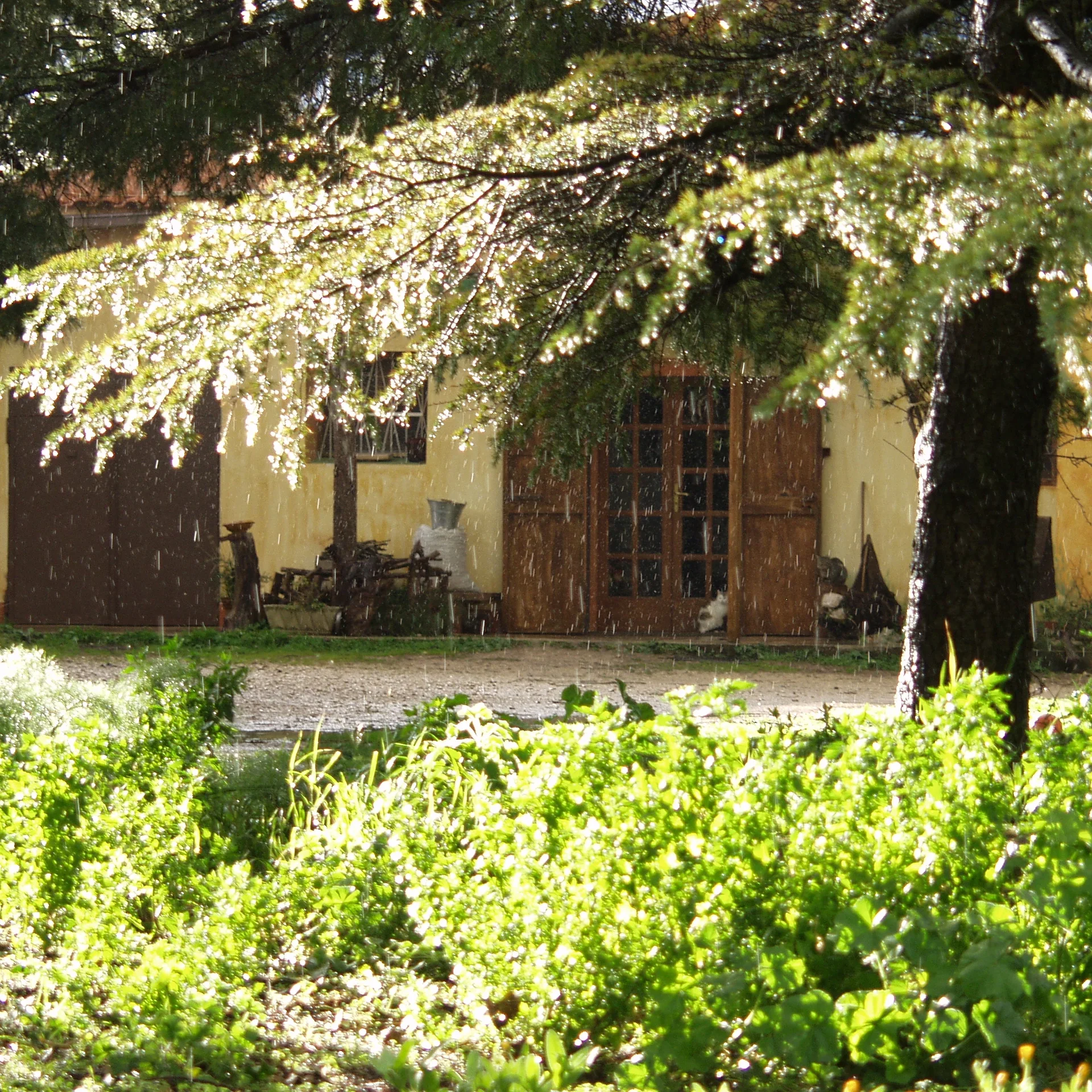 Agriturismo Poggio Ferrata