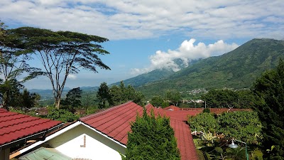 Photos of Kebun Teh Tambi Up Tanjungsari Sapuran