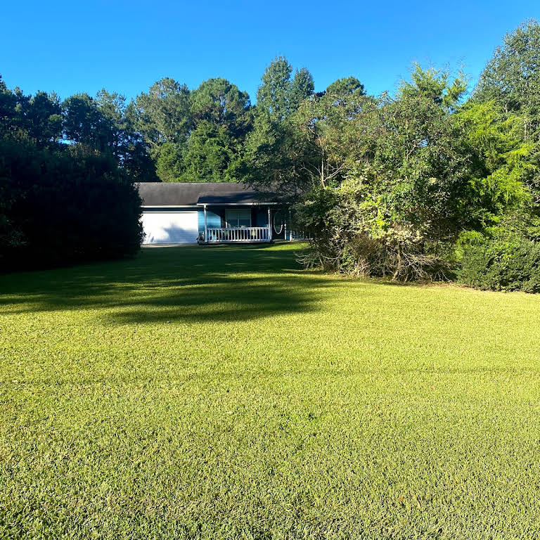 Hernandez landscaping Landscaper in Villa Rica, license and insured