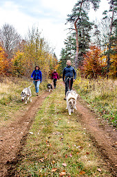 Photo n°22 de La grange des huskies / base éco-canine à Neussargues en Pinatelle (Centre de sports d'aventure)
