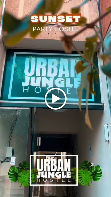 Urban Jungle Hostel