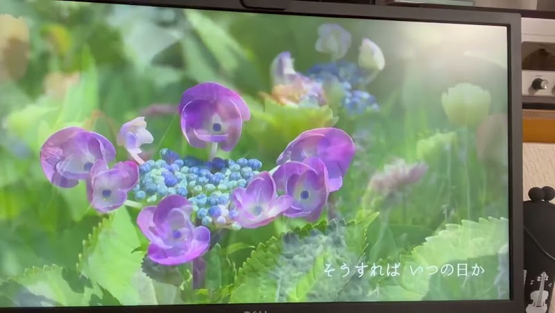 さこうセレモニー