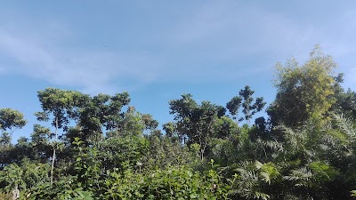 Photos of Tripti Egro Park