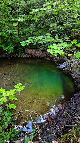 Comentarii opinii despre Chałupa Elektryków