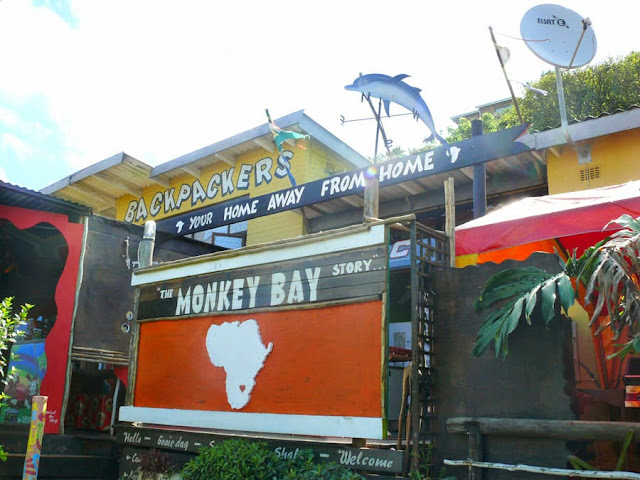 Monkey Bay Mafia Island + Volunteers by null